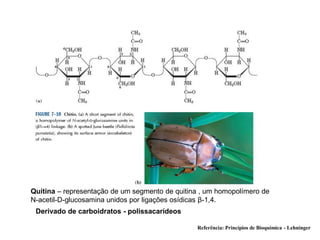 Carboidrato estrutural | PDF