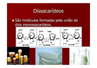 Dissacarídeos
São moléculas formadas pela união de
dois monossacarídeos.
 