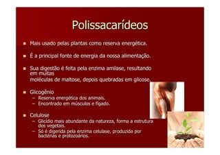 Polissacarídeos
Mais usado pelas plantas como reserva energética.

É a principal fonte de energia da nossa alimentação.

Sua digestão é feita pela enzima amilase, resultando
em muitas
moléculas de maltose, depois quebradas em glicose.

Glicogênio
 – Reserva energética dos animais.
 – Encontrado em músculos e fígado.

Celulose
 – Glicídio mais abundante da natureza, forma a estrutura
   dos vegetais.
 – Só é digerida pela enzima celulase, produzida por
   bactérias e protozoários.
 