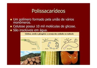 Polissacarídeos
Um polímero formado pela união de vários
monômeros.
Celulose possui 10 mil moléculas de glicose.
São insolúveis em água.
 