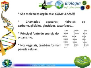 * São moléculas orgânicas= COMPLEXAS!!!

*    Chamados          açúcares,     hidratos   de
carbono, glicídios, glucídeos, sacarídeos...

* Principal fonte de energia do
organismo.

* Nos vegetais, também formam
parede celular.
 
