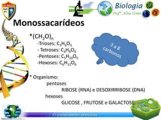 Monossacarídeos
   *(CH2O)n
      -Trioses: C3H6O3
      - Tetroses: C4H8O4
      -Pentoses: C5H10O5
      -Hexoses: C6H12O6

   * Organismo:
          pentoses
                RIBOSE (RNA) e DESOXIRRIBOSE (DNA)
          hexoses
                GLICOSE , FRUTOSE e GALACTOSE
 
