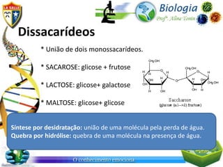 Dissacarídeos
          * União de dois monossacarídeos.

          * SACAROSE: glicose + frutose

          * LACTOSE: glicose+ galactose

          * MALTOSE: glicose+ glicose


Síntese por desidratação: união de uma molécula pela perda de água.
Quebra por hidrólise: quebra de uma molécula na presença de água.
 