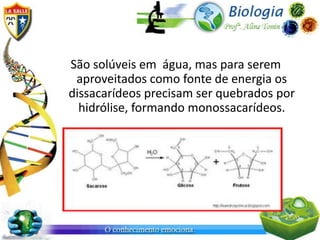 São solúveis em água, mas para serem
 aproveitados como fonte de energia os
dissacarídeos precisam ser quebrados por
  hidrólise, formando monossacarídeos.
 