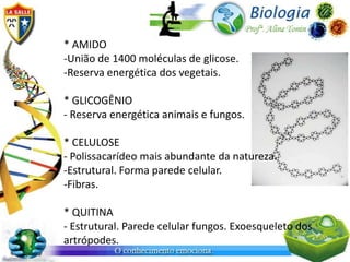* AMIDO
-União de 1400 moléculas de glicose.
-Reserva energética dos vegetais.

* GLICOGÊNIO
- Reserva energética animais e fungos.

* CELULOSE
- Polissacarídeo mais abundante da natureza.
-Estrutural. Forma parede celular.
-Fibras.

* QUITINA
- Estrutural. Parede celular fungos. Exoesqueleto dos
artrópodes.
 