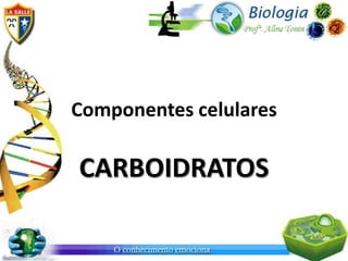 Componentes celulares

CARBOIDRATOS
 