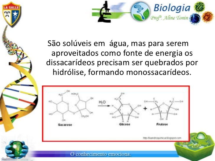 Polissacarídeos De Reserva Energética De Origem Animal