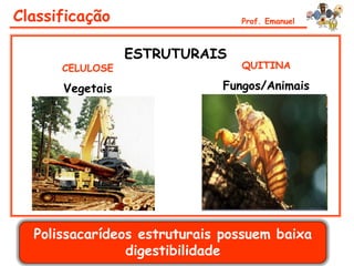 Classificação                   Prof. Emanuel



                 ESTRUTURAIS
      CELULOSE                  QUITINA

      Vegetais               Fungos/Animais




  Polissacarídeos estruturais possuem baixa
                digestibilidade
 