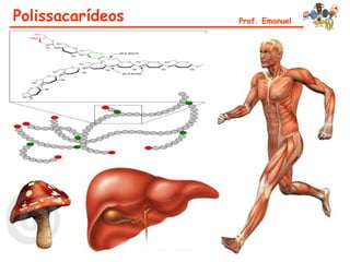 Polissacarídeos   Prof. Emanuel
 