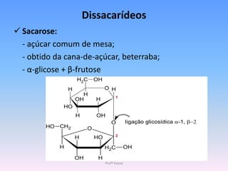 Dissacarídeos
 Sacarose:
  - açúcar comum de mesa;
  - obtido da cana-de-açúcar, beterraba;
  - α-glicose + β-frutose
                     H2C      OH
                 H                 O H
                       H                 1
                     OH       H
              HO
                     H        OH
                                      O          ligação glicosídica -1, 
        HO   CH2          O
                                         2
                     H        HO
             H                     H2C           OH

                     OH        H
                                   Profª Kasue
 