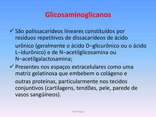 Glicosaminoglicanos

 São polissacarídeos lineares constituídos por
  resíduos repetitivos de dissacarídeos de ácido
  urônico (geralmente o ácido D−glicurônico ou o ácido
  L−idurônico) e de N−acetilglicosamina ou
  N−acetilgalactosamina;
 Presentes nos espaços extracelulares como uma
  matriz gelatinosa que embebem o colágeno e
  outras proteínas, particularmente nos tecidos
  conjuntivos (cartilagens, tendões, pele, parede de
  vasos sangüíneos).

                        Profª Kasue
 