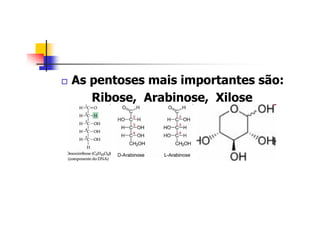 As pentoses mais importantes são:
Ribose, Arabinose, Xilose
 
