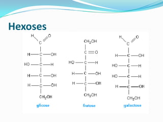 Hexoses

 