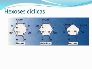Hexoses cíclicas

 