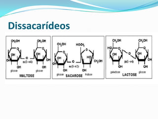 Dissacarídeos

 