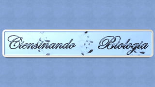 Nutrientes: Carboidratos