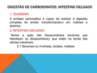 DIGESTÃO DE CARBOIDRATOS: INTESTINO DELGADO
1. DUODENO:
A amilase pancreática é capaz de realizar à digestão
completa do amido, transformando-o em maltose e
dextrina.
2. INTESTINO DELGADO:
Temos a ação das dissacaridases (enzimas que
hidrolisam os dissacarídeos), que estão na borda das
células intestinais:
2.1 Sacarase ou invertase, lactase, maltase
 