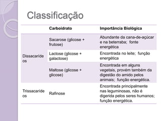 Classificação
Carboidrato Importância Biológica
Dissacaríde
os
Sacarose (glicose +
frutose)
Abundante da cana-de-açúcar
e na beterraba; fonte
energética
Lactose (glicose +
galactose)
Encontrada no leite; função
energética
Maltose (glicose +
glicose)
Encontrada em alguns
vegetais, provém também da
digestão do amido pelos
animais; função energética.
Trissacaríde
os
Rafinose
Encontrada principalmente
nas leguminosas, não é
digerida pelos seres humanos;
função energética.
 