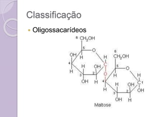 Classificação
 Oligossacarídeos
 
