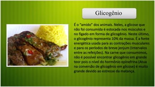 Glicogênio
É o “amido” dos animais. Neles, a glicose que
não foi consumida é estocada nos músculos e
no fígado em forma de glicogênio. Neste último,
o glicogênio representa 10% da massa. É a fonte
energética usada para as contrações musculares
e para os períodos de breve jenjum (Intervalos
entre as refeições). Na carne que consumimos,
não é possível encontrar glicogênio em grande
teor pois o nível do hormônio epinefrina (Atua
na conversão de glicogênio em glicose) é muito
grande devido ao estresse da matança.
 