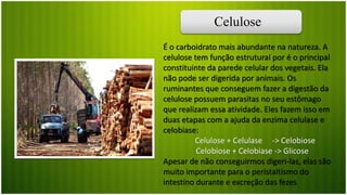 Celulose
É o carboidrato mais abundante na natureza. A
celulose tem função estrutural por é o principal
constituinte da parede celular dos vegetais. Ela
não pode ser digerida por animais. Os
ruminantes que conseguem fazer a digestão da
celulose possuem parasitas no seu estômago
que realizam essa atividade. Eles fazem isso em
duas etapas com a ajuda da enzima celulase e
celobiase:
Celulose + Celulase -> Celobiose
Celobiose + Celobiase -> Glicose
Apesar de não conseguirmos digeri-las, elas são
muito importante para o peristaltismo do
intestino durante e excreção das fezes
 