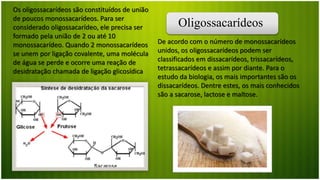 Oligossacarídeos
Os oligossacarídeos são constituídos de união
de poucos monossacarídeos. Para ser
considerado oligossacarídeo, ele precisa ser
formado pela união de 2 ou até 10
monossacarídeo. Quando 2 monossacarídeos
se unem por ligação covalente, uma molécula
de água se perde e ocorre uma reação de
desidratação chamada de ligação glicosídica
De acordo com o número de monossacarídeos
unidos, os oligossacarídeos podem ser
classificados em dissacarídeos, trissacarídeos,
tetrassacarídeos e assim por diante. Para o
estudo da biologia, os mais importantes são os
dissacarídeos. Dentre estes, os mais conhecidos
são a sacarose, lactose e maltose.
 