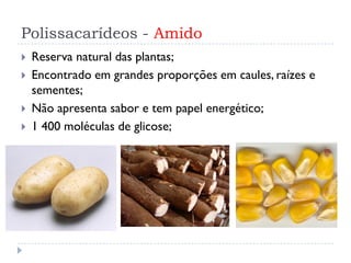Polissacarídeos - Amido
 Reserva natural das plantas;
 Encontrado em grandes proporções em caules, raízes e
sementes;
 Não apresenta sabor e tem papel energético;
 1 400 moléculas de glicose;
 