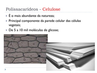 Polissacarídeos - Celulose
 É o mais abundante da natureza;
 Principal componente da parede celular das células
vegetais;
 De 5 a 10 mil moléculas de glicose;
 