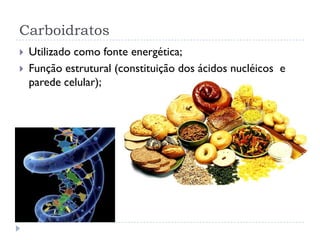 Carboidratos
 Utilizado como fonte energética;
 Função estrutural (constituição dos ácidos nucléicos e
parede celular);
 