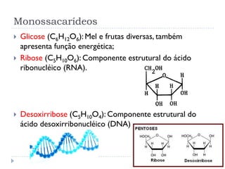 Monossacarídeos
 Glicose (C6H12O6): Mel e frutas diversas, também
apresenta função energética;
 Ribose (C5H10O6): Componente estrutural do ácido
ribonucléico (RNA).
 Desoxirribose (C5H10O4): Componente estrutural do
ácido desoxirribonucléico (DNA).
 