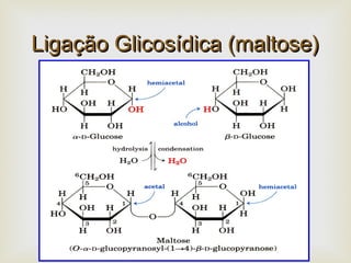 
Ligação Glicosídica (maltose)Ligação Glicosídica (maltose)
 