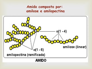 Amido composto por:
amilose e amilopectina
 