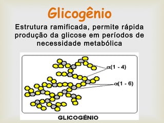 Glicogênio
Estrutura ramificada, permite rápida
produção da glicose em períodos de
necessidade metabólica
 