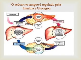 
O açúcar no sangue é regulado pelaO açúcar no sangue é regulado pela
Insulina e GlucagonInsulina e Glucagon
 