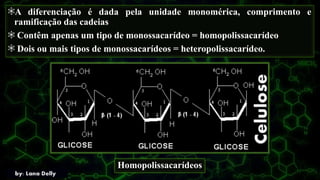 A diferenciação é dada pela unidade monomérica, comprimento e
ramificação das cadeias
Contêm apenas um tipo de monossacarídeo = homopolissacarídeo
Dois ou mais tipos de monossacarídeos = heteropolissacarídeo.
Homopolissacarídeos
 