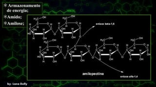 Armazenamento
de energia;
Amido;
Amilose;
 