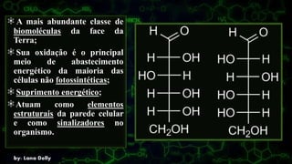 A mais abundante classe de
biomoléculas da face da
Terra;
Sua oxidação é o principal
meio de abastecimento
energético da maioria das
células não fotossintéticas;
Suprimento energético;
Atuam como elementos
estruturais da parede celular
e como sinalizadores no
organismo.
 
