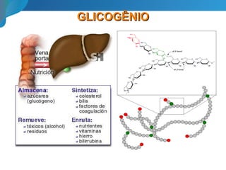 GLICOGÊNIOGLICOGÊNIO
 