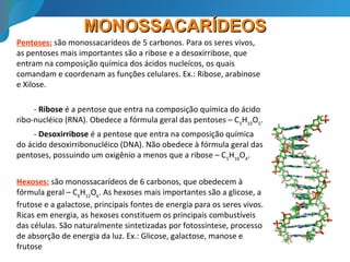 MONOSSACARÍDEOSMONOSSACARÍDEOS
Pentoses: são monossacarídeos de 5 carbonos. Para os seres vivos,
as pentoses mais importantes são a ribose e a desoxirribose, que
entram na composição química dos ácidos nucleícos, os quais
comandam e coordenam as funções celulares. Ex.: Ribose, arabinose
e Xilose.
- Ribose é a pentose que entra na composição química do ácido
ribo-nucléico (RNA). Obedece a fórmula geral das pentoses – C5
H10
O5
.
- Desoxirribose é a pentose que entra na composição química
do ácido desoxirribonucléico (DNA). Não obedece à fórmula geral das
pentoses, possuindo um oxigênio a menos que a ribose – C5
H10
O4
.
Hexoses: são monossacarídeos de 6 carbonos, que obedecem à
fórmula geral – C6
H12
O6
. As hexoses mais importantes são a glicose, a
frutose e a galactose, principais fontes de energia para os seres vivos.
Ricas em energia, as hexoses constituem os principais combustíveis
das células. São naturalmente sintetizadas por fotossíntese, processo
de absorção de energia da luz. Ex.: Glicose, galactose, manose e
frutose
 