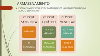 ARMAZENAMENTO
 ESTIMATIVA DE ESTOQUES DE CARBOIDRATOS NO ORGANISMO DE UM
ADULTO SEDENTÁRIO
GLICOSE
SANGUÍNEA
5 GRAMAS
20
KCALORIAS
GLICOSE
HEPÁTICO
75 A 100
GRAMAS
300 A 400
KCALORIAS
GLICOSE
MUSCULAR
300 A 400
GRAMAS
1200 A
1600 KCAL
 
