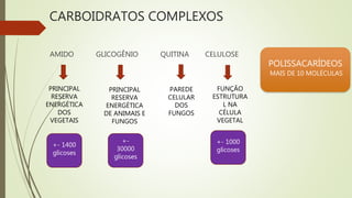 CARBOIDRATOS COMPLEXOS
POLISSACARÍDEOS
MAIS DE 10 MOLÉCULAS
AMIDO GLICOGÊNIO QUITINA CELULOSE
PRINCIPAL
RESERVA
ENERGÉTICA
DOS
VEGETAIS
PRINCIPAL
RESERVA
ENERGÉTICA
DE ANIMAIS E
FUNGOS
FUNÇÃO
ESTRUTURA
L NA
CÉLULA
VEGETAL
PAREDE
CELULAR
DOS
FUNGOS
+- 1400
glicoses
+-
30000
glicoses
+- 1000
glicoses
 
