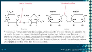 16 Prof. Claudinei Osorio de Oliveira
 