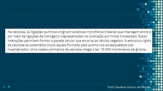 21 Prof. Claudinei Osorio de Oliveira
 