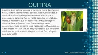 25
QUITINA
Prof. Claudinei Osorio de Oliveira
 