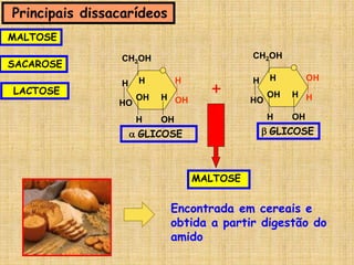 Principais dissacarídeos
CH2OH
OH
H
H
OHH
OH
HH
HO
CH2OH
OH
H
H
OHH
H
OHH
HO
+
 GLICOSE  GLICOSE
MALTOSE
Encontrada em cereais e
obtida a partir digestão do
amido
MALTOSE
SACAROSE
LACTOSE
 