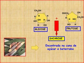 FRUTOSE
CH2OH
OH
H
H
OHH
OH
HH
HO
GLICOSE
OHCH2
HO H
CH2OH
OH
H HO
H
+
SACAROSE
Encontrada na cana de
açúcar e beterraba
 