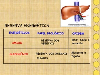 ENERGÉTICOS
AMIDO
GLICOGÊNIO
PAPEL BIOLÓGICO
RESERVA DOS
VEGETAIS
RESERVA DOS ANIMAIS
FUNGOS
 Glicose
CH2OH
OH
H
H
OHH
OH
HH
HO
ORIGEM
Raiz, caule e
semente
Músculos e
fígado
RESERVA ENERGÉTICA
 