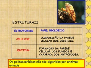 CELULOSE
QUITINA
PAPEL BIOLÓGICO
COMPOSIÇÃO DA PAREDE
CELULAR DOS VEGETAIS.
FORMAÇÃO DA PAREDE
CELULAR DOS FUNGOS E
CARAPAÇA DOS ARTRÓPODES.
ESTRUTURAIS
 Glicose
CH2OH
OH
H
H
OHH
H
OHH
HO
ESTRUTURAIS
Os polissacarídeos não são digeridos por enzimas
animais
 