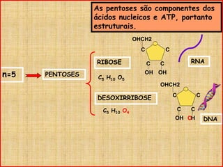 As pentoses são componentes dos
ácidos nucleicos e ATP, portanto
estruturais.
n=5 PENTOSES
RIBOSE
DESOXIRRIBOSE
C C
C C
OH
OHCH2
OH
OHCH2
CC
C C
OH HO
RNA
DNA
C5 H10 O5
C5 H10 O4
 