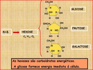 n=6 HEXOSE
CH2OH
OH
H
H
OHH
OH
HH
HO
OHCH2
HO H
CH2OH
OH
H HO
H
CH2OH
HO OH
H OH
H
HOH HH
GLICOSE
FRUTOSE
GALACTOSE
As hexoses são carboidratos energéticos.
A glicose fornece energia imediata á célula.
C6 H12 O6
 